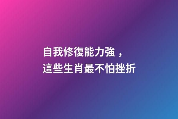 自我修復能力強，這些生肖最不怕挫折